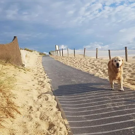 Le Cocon De La Plage Du Santocha Capbreton Extérieur photo